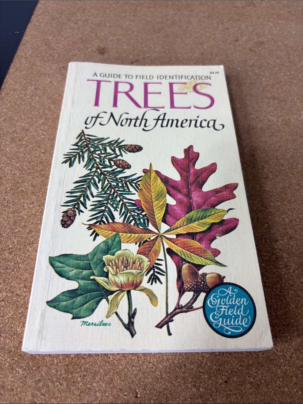 Trees of North America Field Guide - Cream Cover